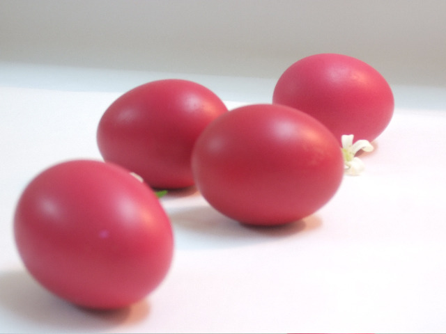 eggs