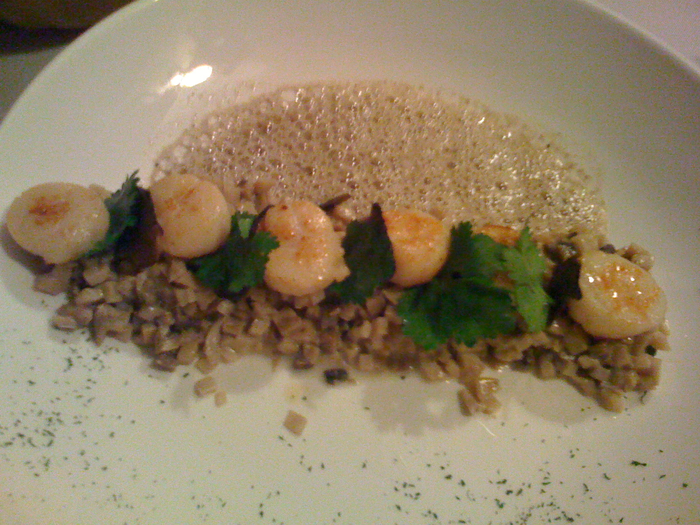 delicious scallops
