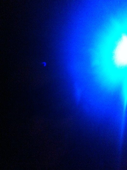 night club